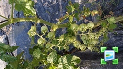 20140629091544.jpg