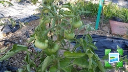 20140629091646.jpg