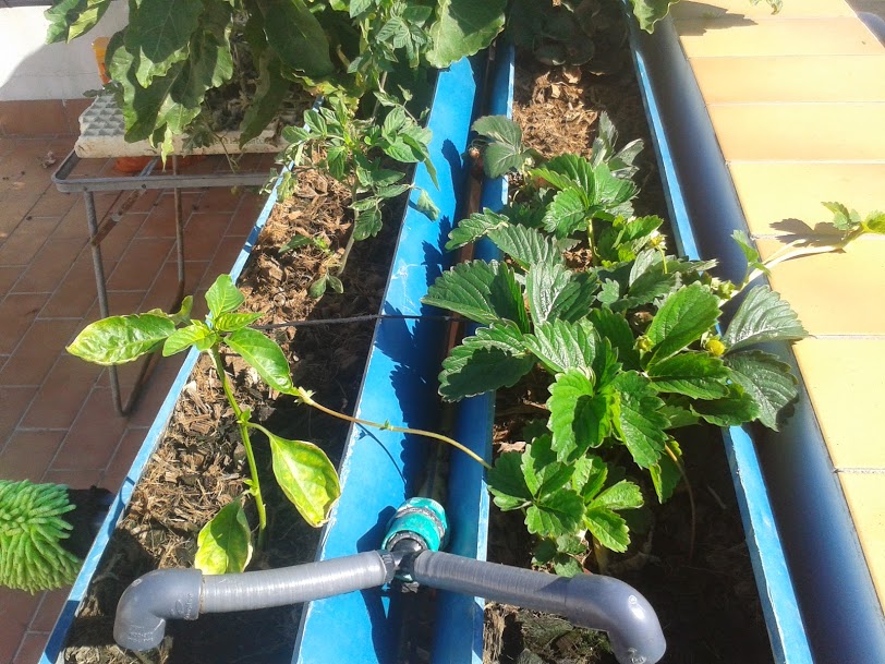 20140629_102154.jpg