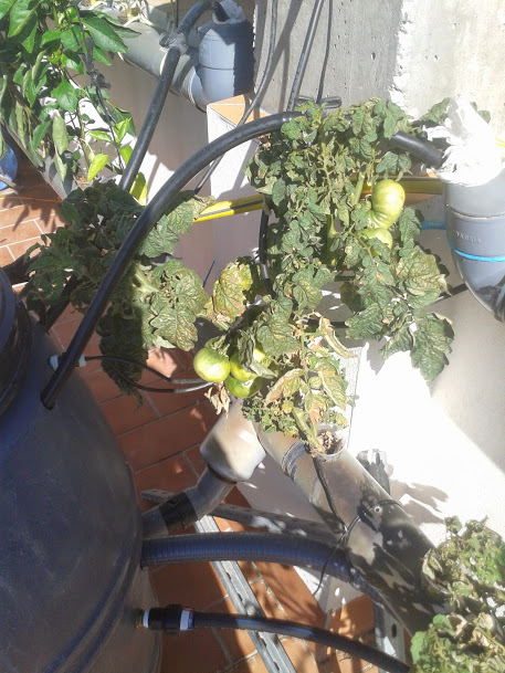 20140629_102307.jpg
