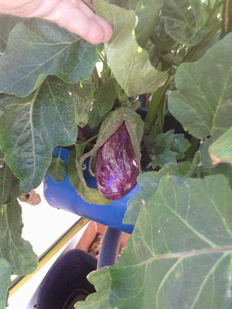 20140629_102345.jpg
