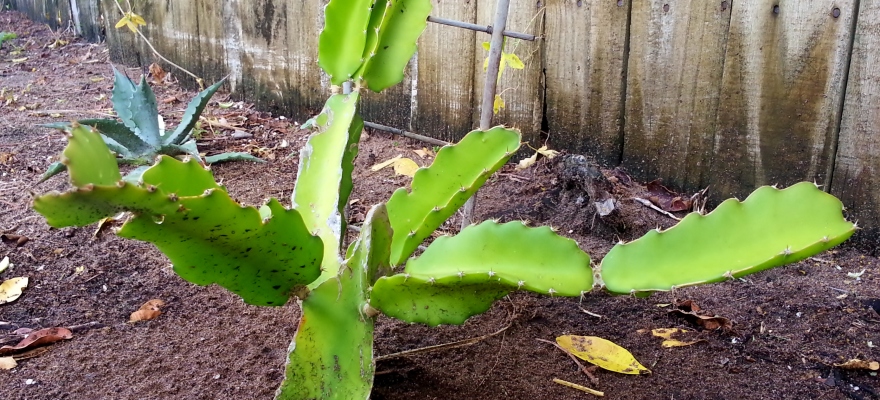 20140705_103315.jpg
