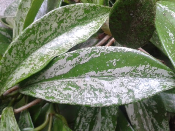 20140710_141029.jpg
