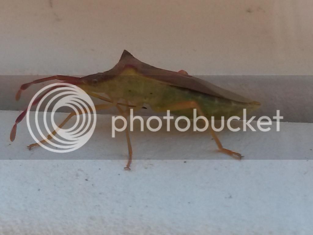 20140716_131001.jpg
