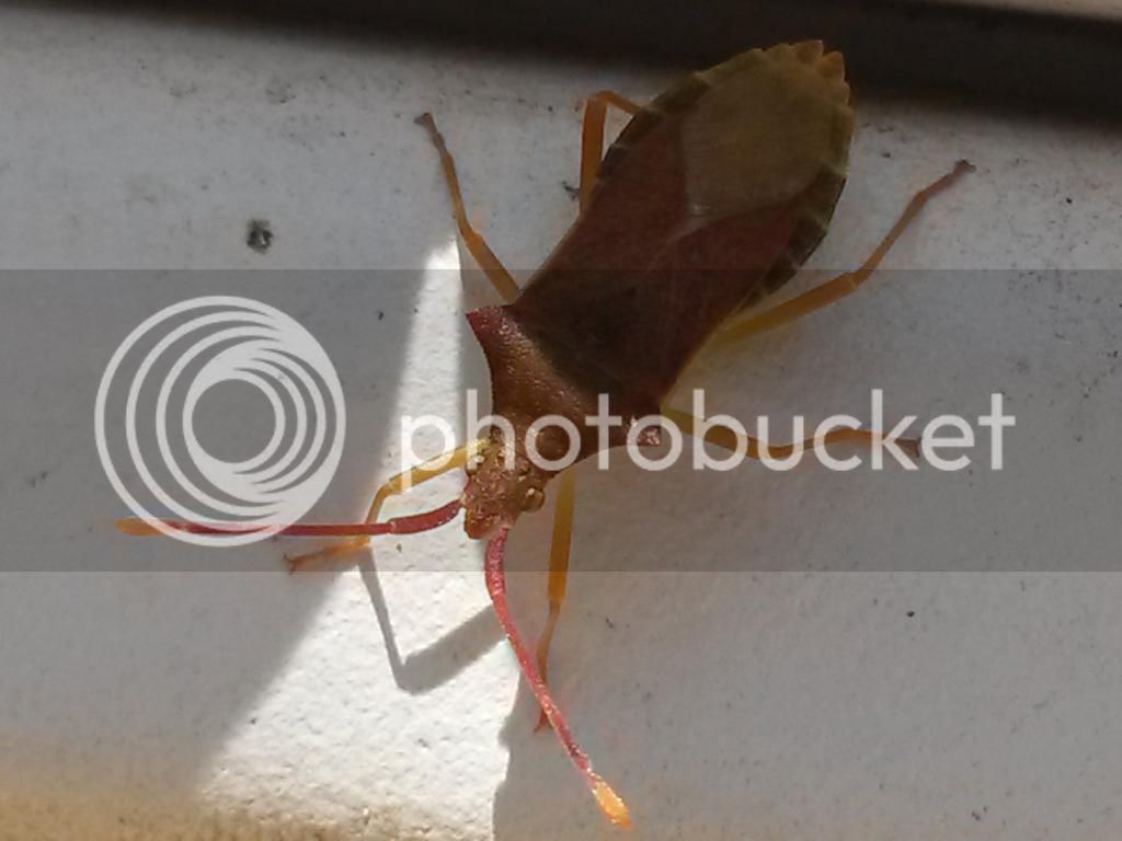 20140716_131107.jpg