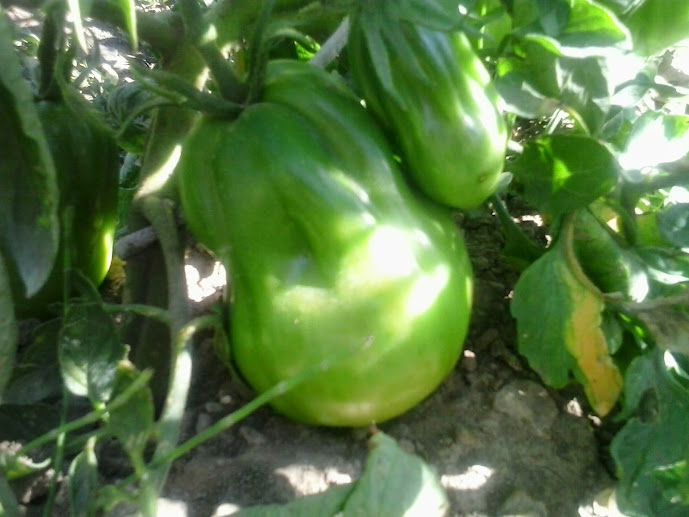 20140721_185247.jpg