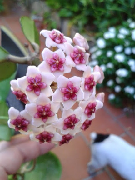20140722_090640.jpg