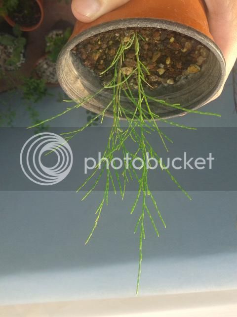 20140731_201908.jpg