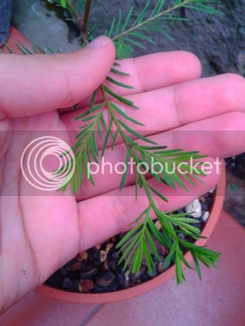 20140807_194445.jpg