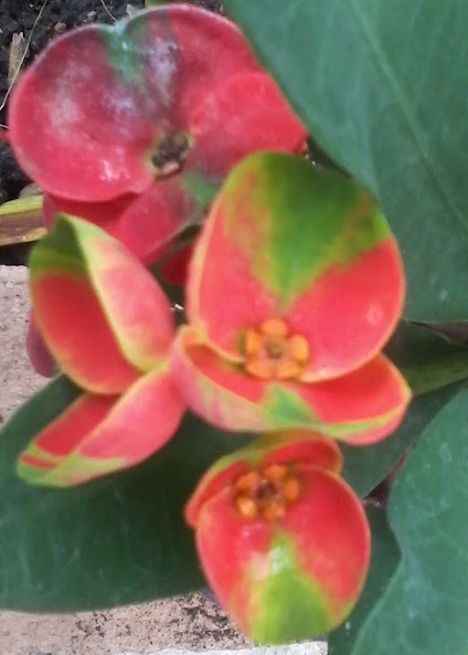 20140809_174714.jpg