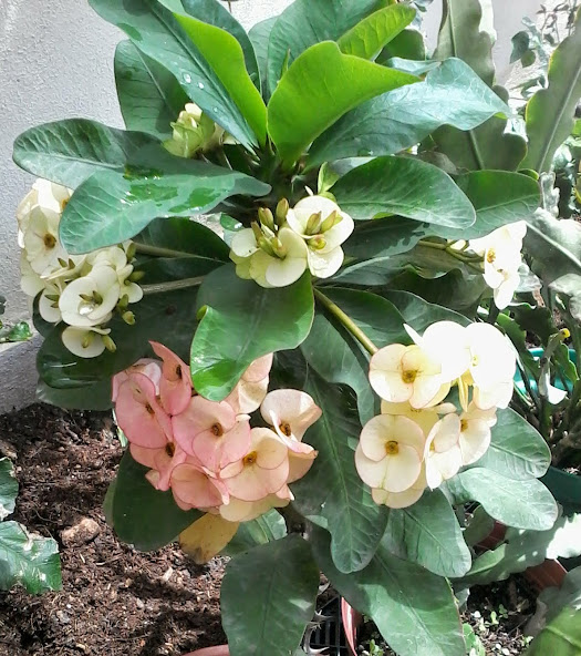 20140812_152957.jpg