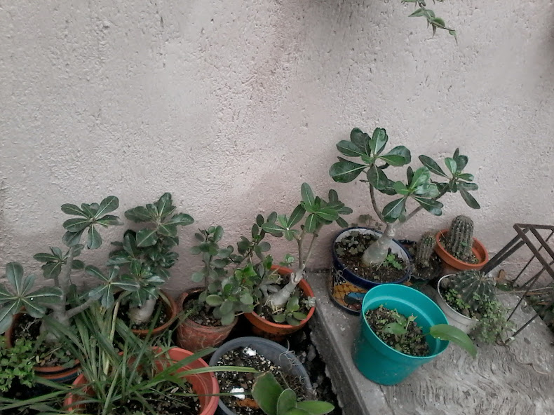 20140831_130826.jpg