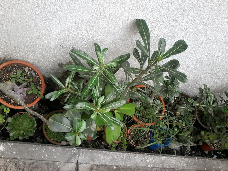 20140831_130832.jpg