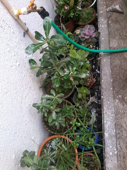 20140831_130836.jpg