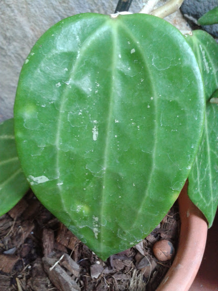 20140903_113919.jpg