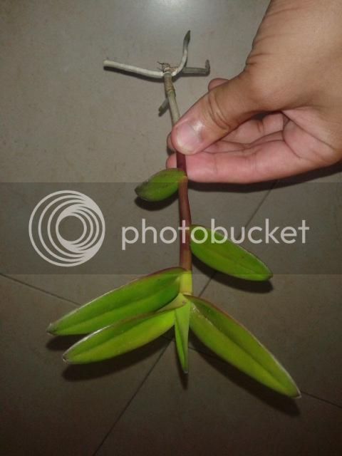 20140904_041324.jpg