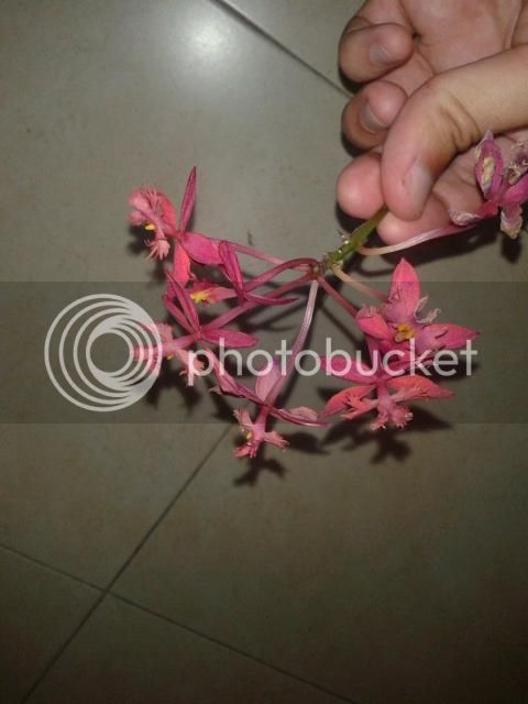 20140904_041344.jpg