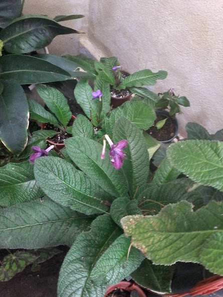 20140913_084348.jpg