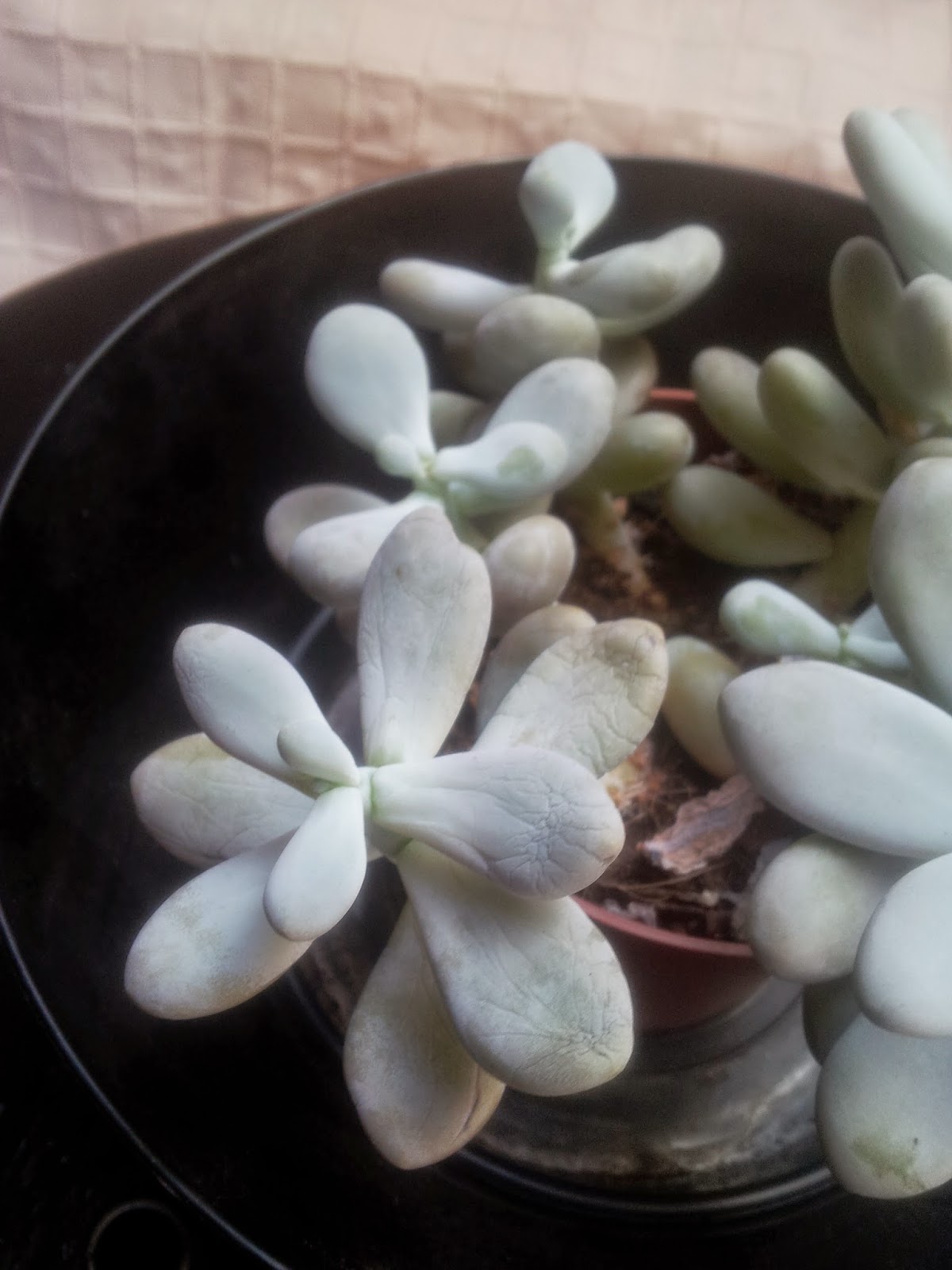 20140914_165248.jpg