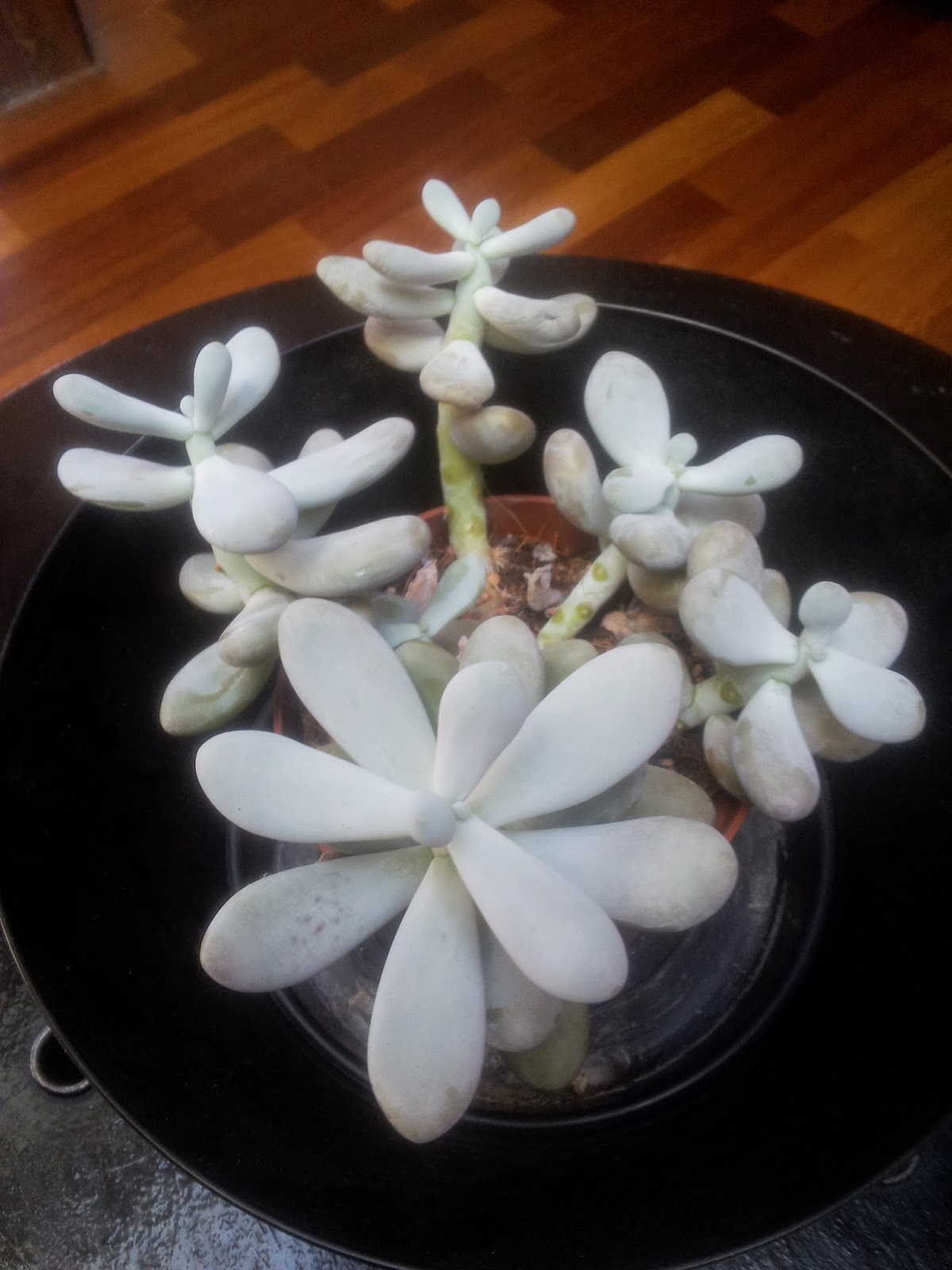 20140914_165302.jpg