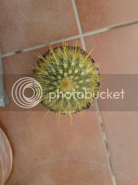 20140918_174019.jpg