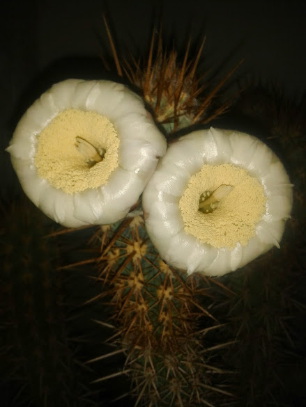 20140920_033336.jpg