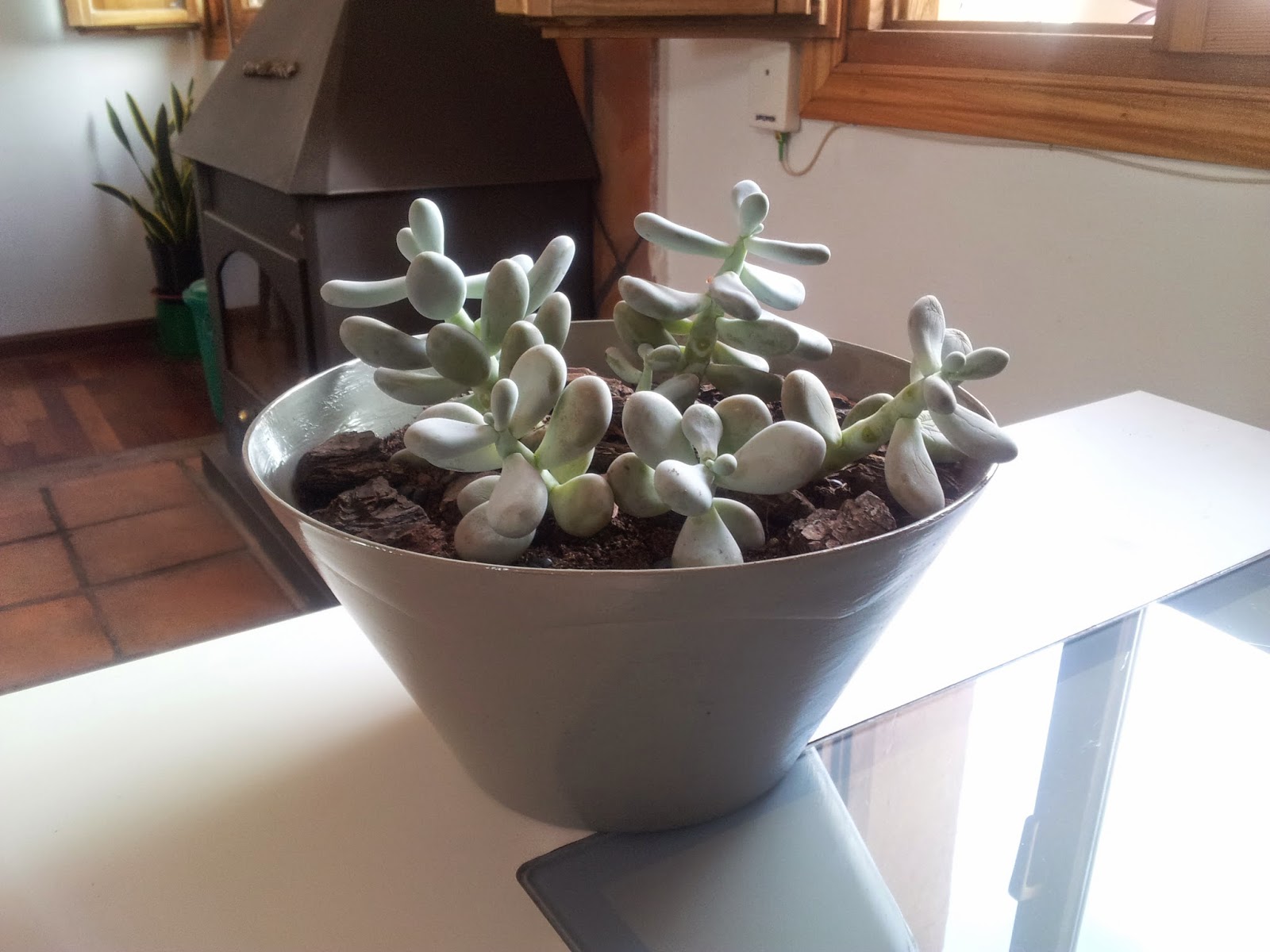 20140921_152052.jpg