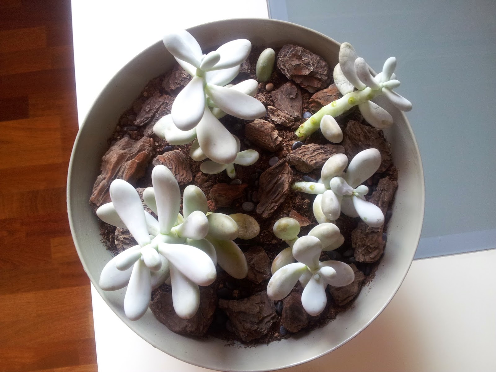 20140921_152108.jpg