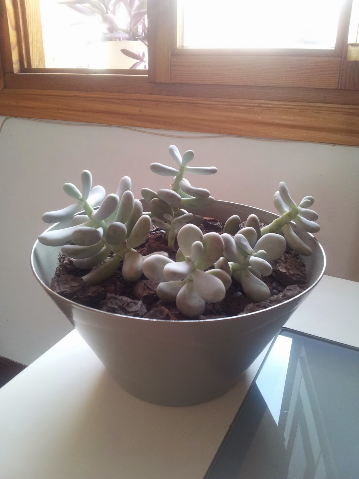 20140921_152204.jpg