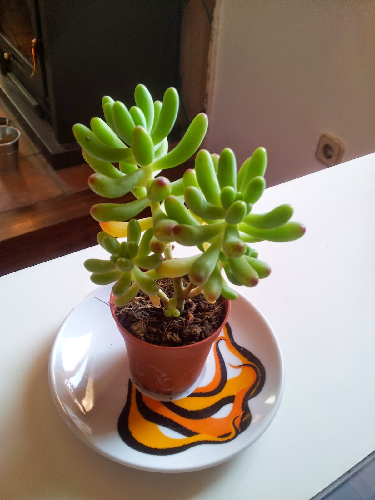 20140925_103851.jpg