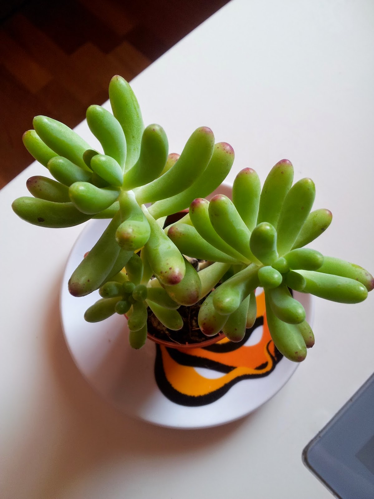 20140925_103900.jpg