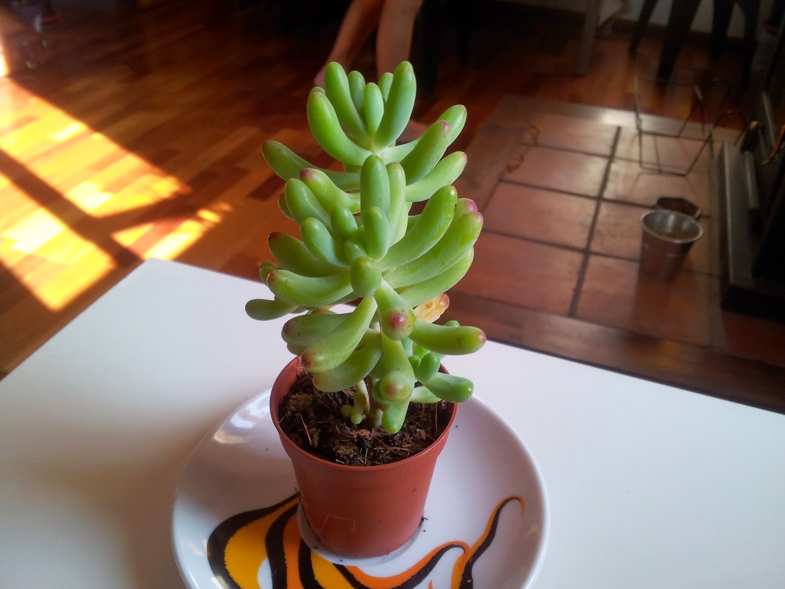 20140925_103914.jpg