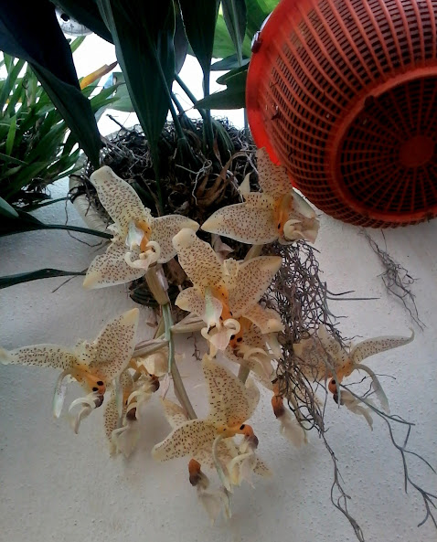 20140928_135234.jpg