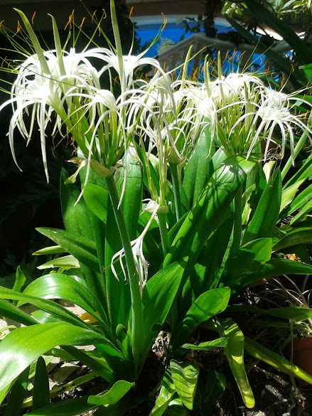 20140930_113745.jpg