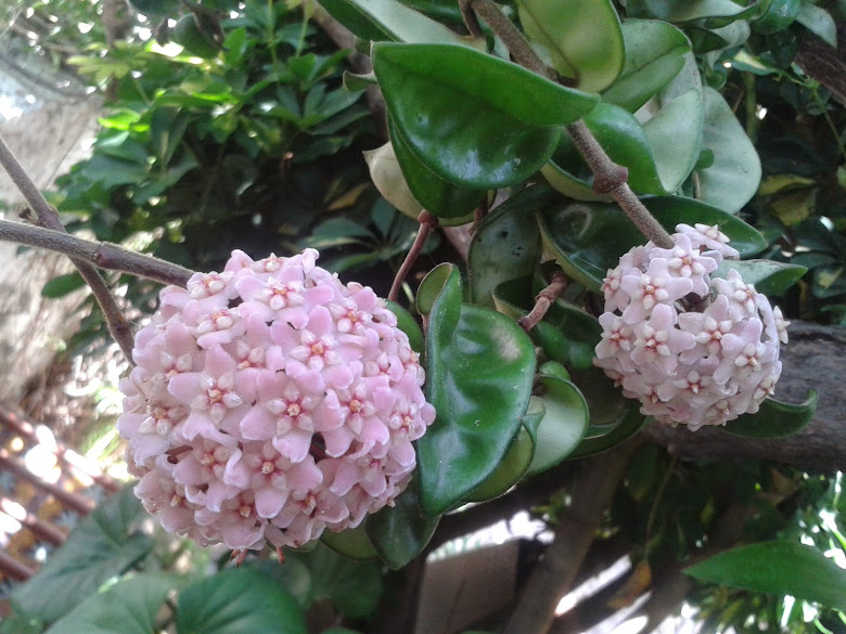20141003_105645.jpg