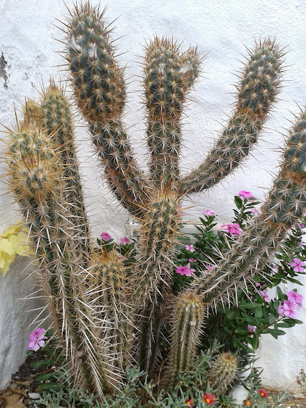 20141006_114722.jpg