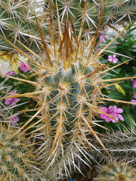 20141006_114734.jpg