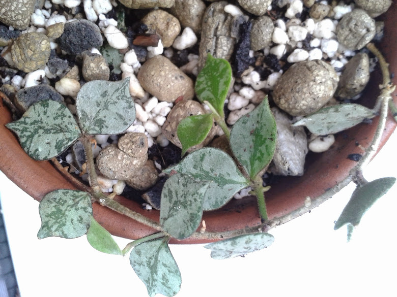 20141020_105527.jpg