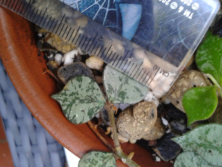 20141020_105602.jpg