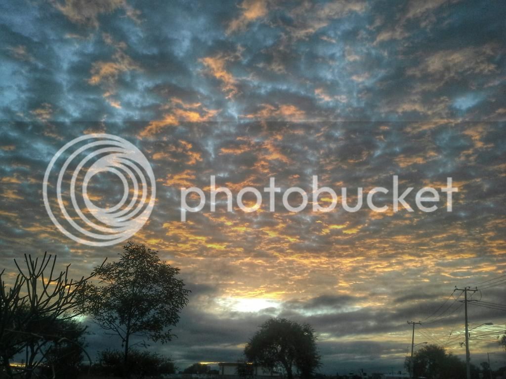 20141021_074706_1_zpstercm5da.jpg