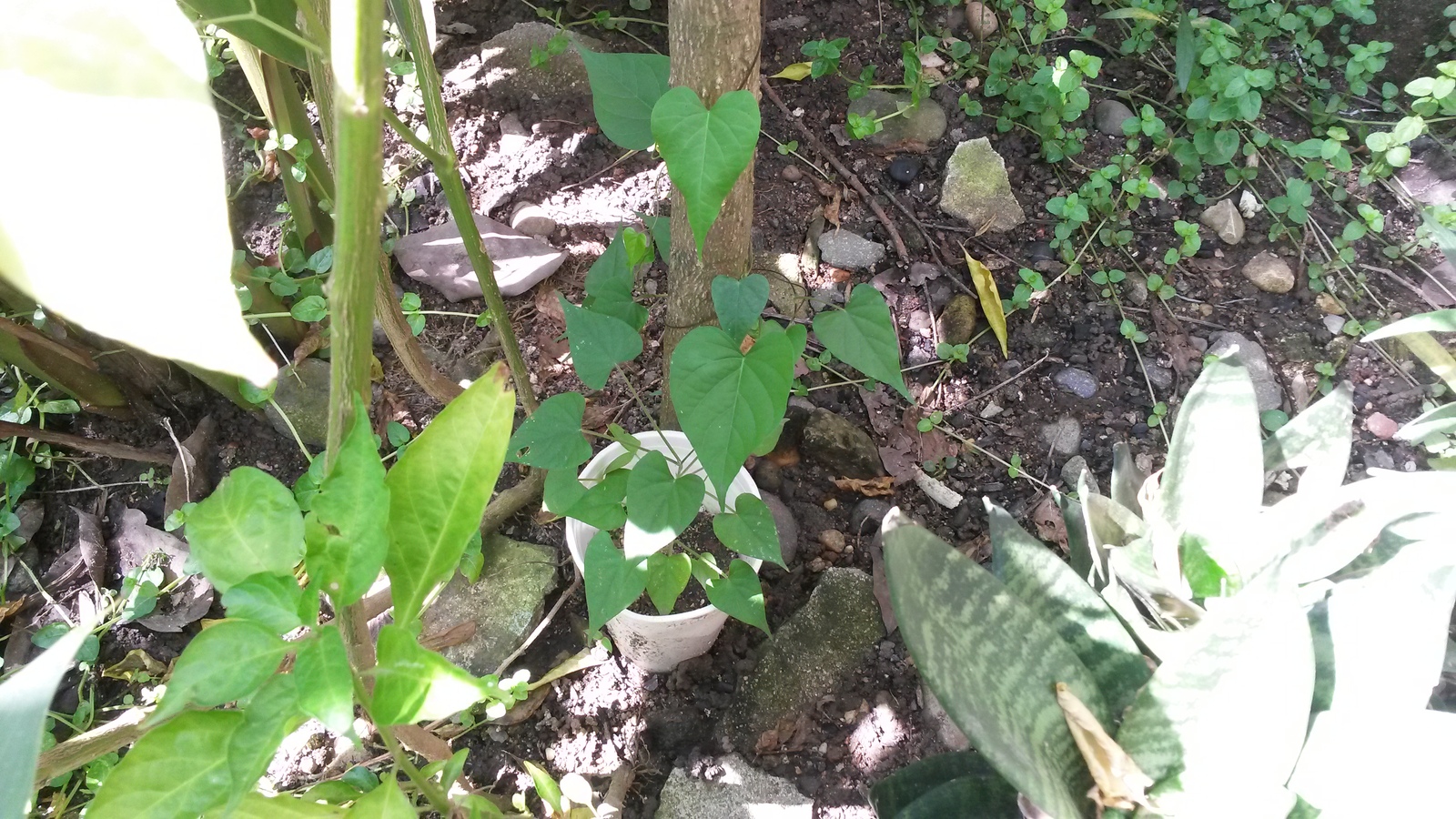 20141105_104700.jpg