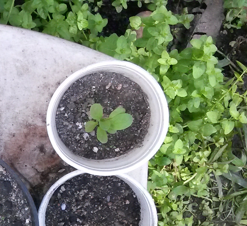 20141105_104808.jpg