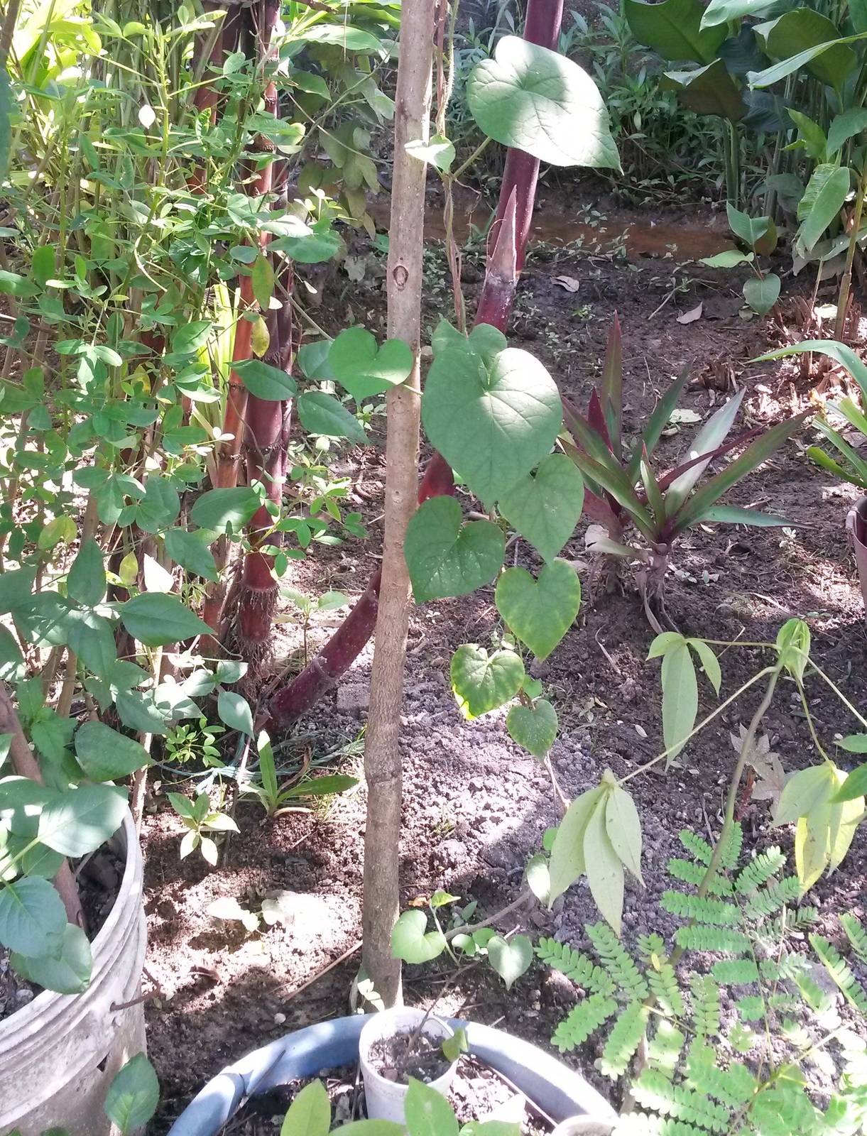 20141105_104939.jpg