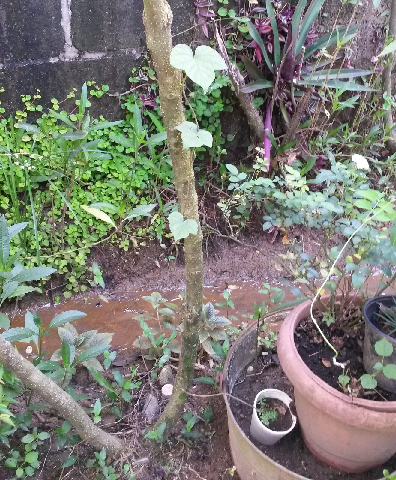 20141105_105125.jpg