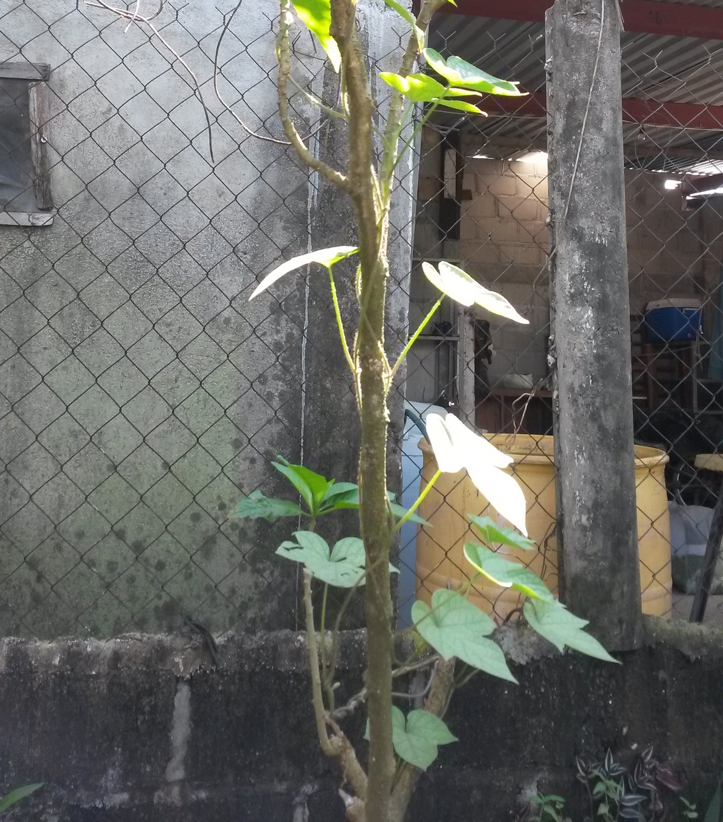 20141105_105130.jpg