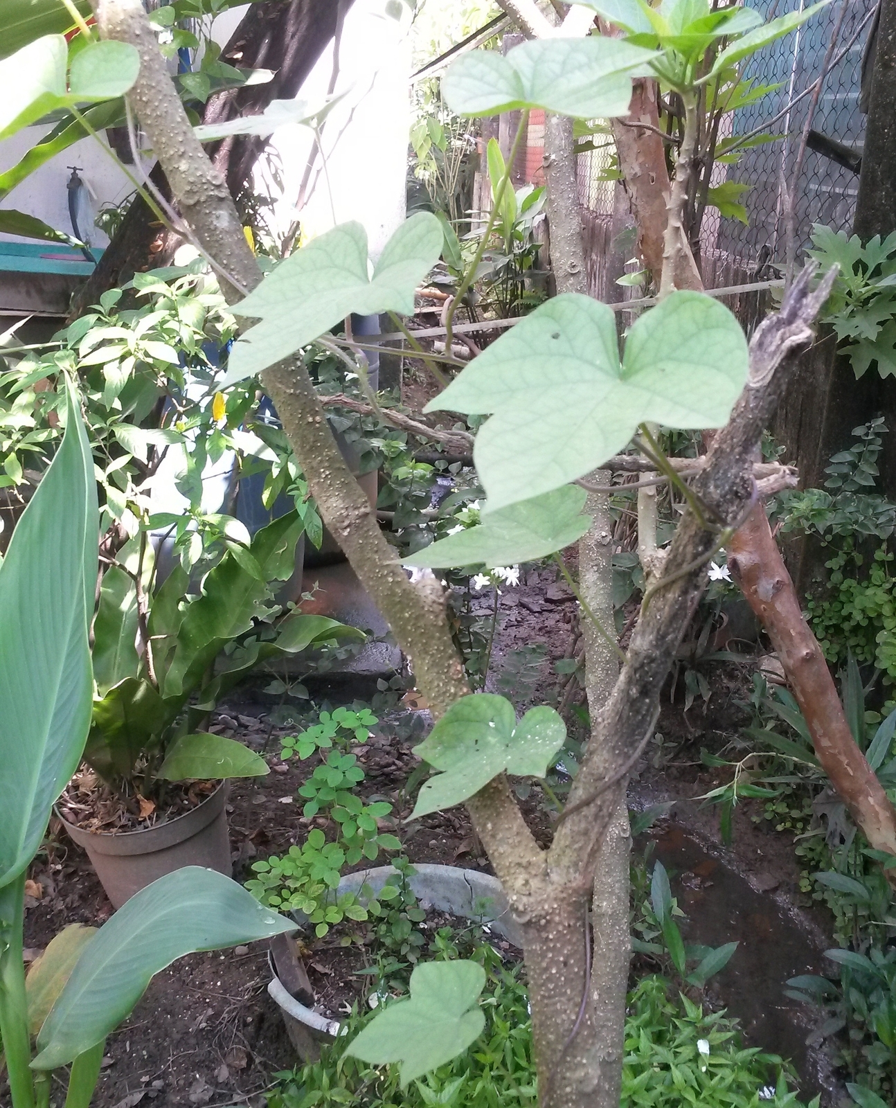20141105_105323.jpg