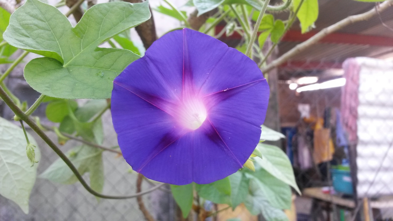 20141111_092025.jpg