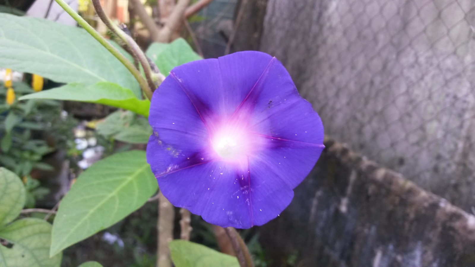 20141111_092120.jpg