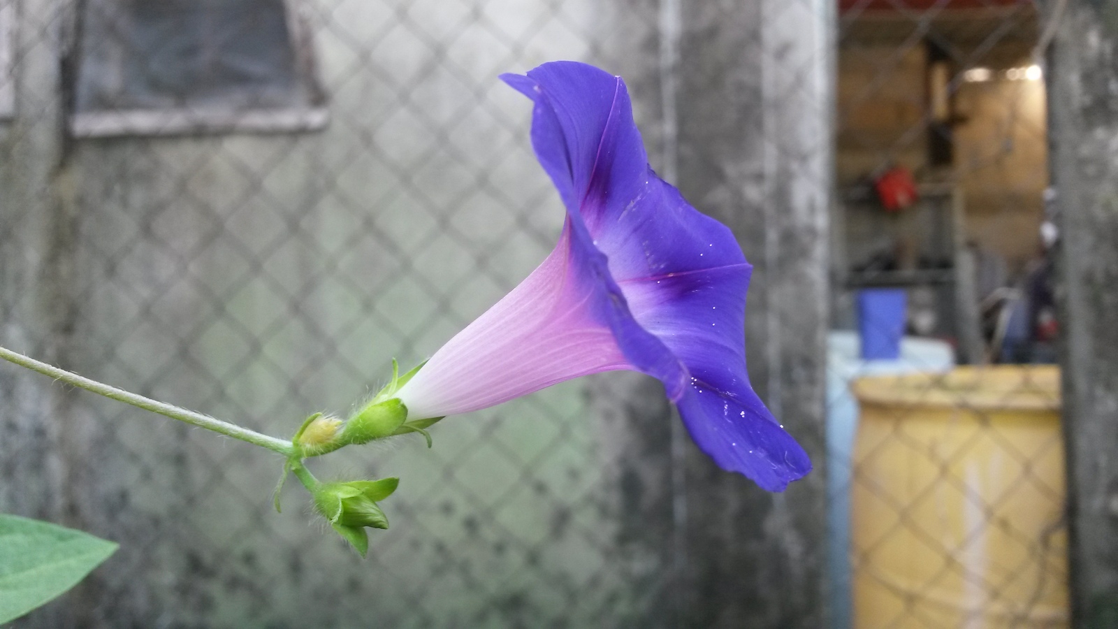20141111_092129.jpg
