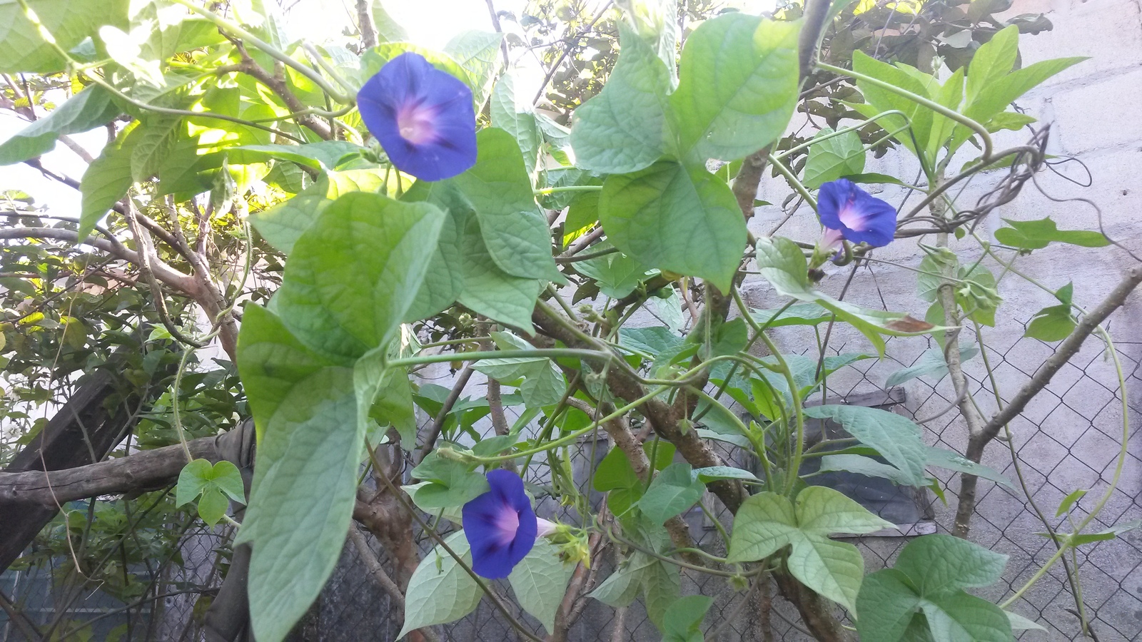 20141111_092232.jpg
